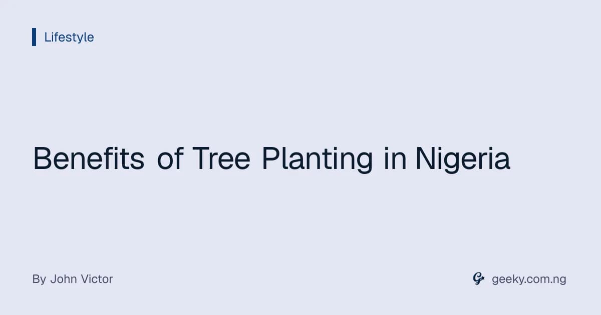 Benefits of Tree Planting in Nigeria
