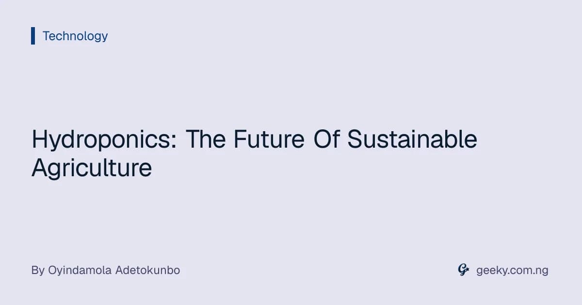 Hydroponics: The Future Of Sustainable Agriculture