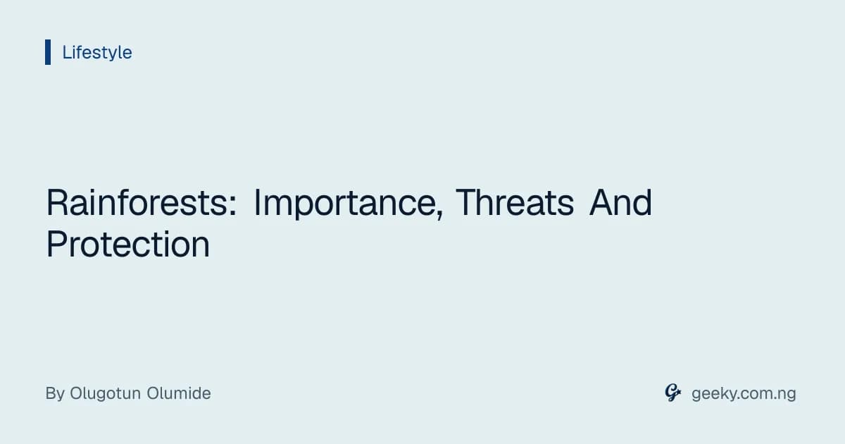 Rainforests: Importance, Threats And Protection