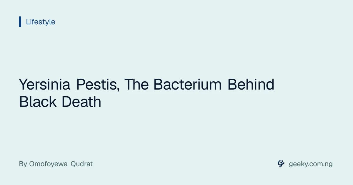 Yersinia Pestis, The Bacterium Behind Black Death