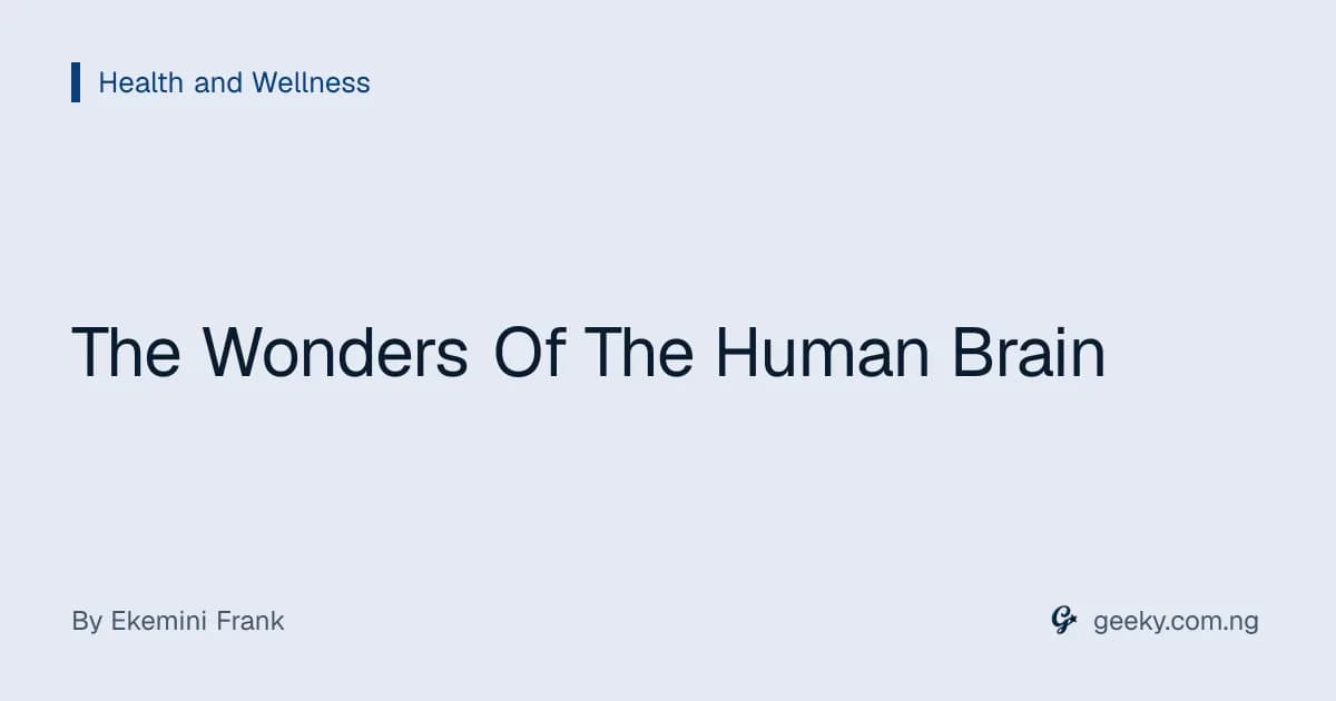 The Wonders Of The Human Brain