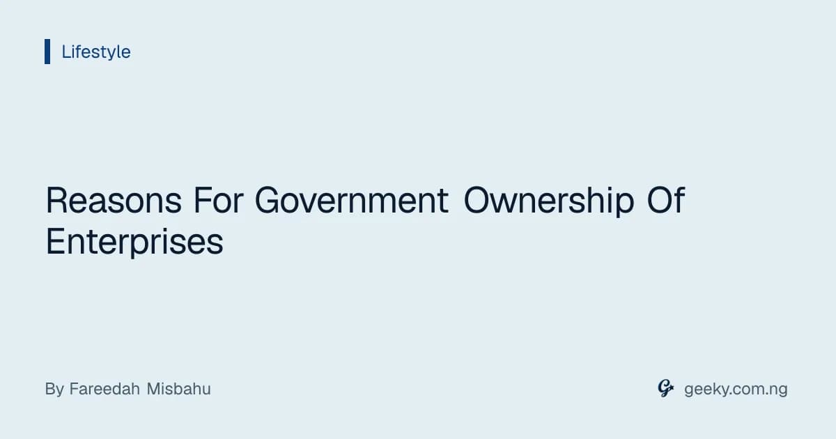 Reasons For Government Ownership Of Enterprises