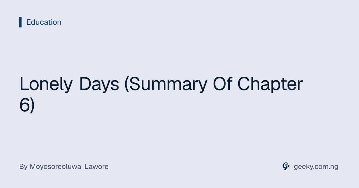 Lonely Days (Summary Of Chapter 6)