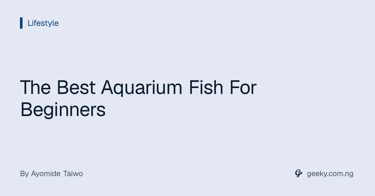 The Best Aquarium Fish For Beginners