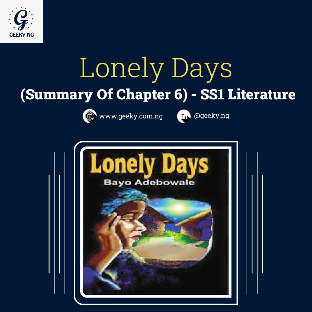 Lonely Days (Summary Of Chapter 6)