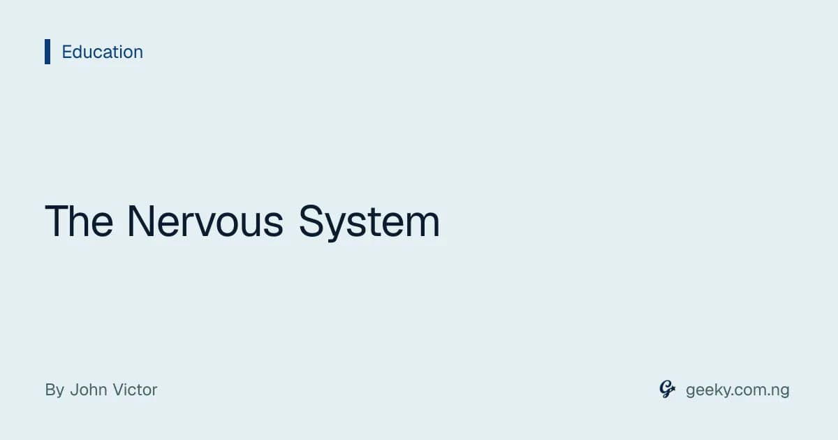 The Nervous System