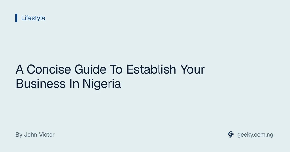 A Concise Guide To Establish Your Business In Nigeria