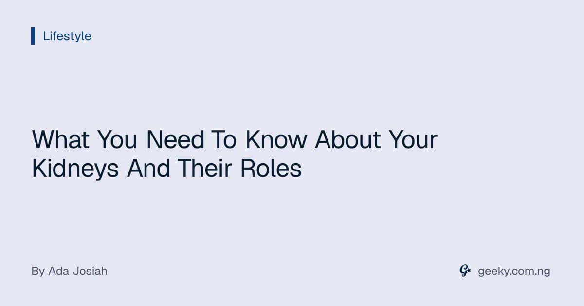 What You Need To Know About Your Kidneys And Their Roles