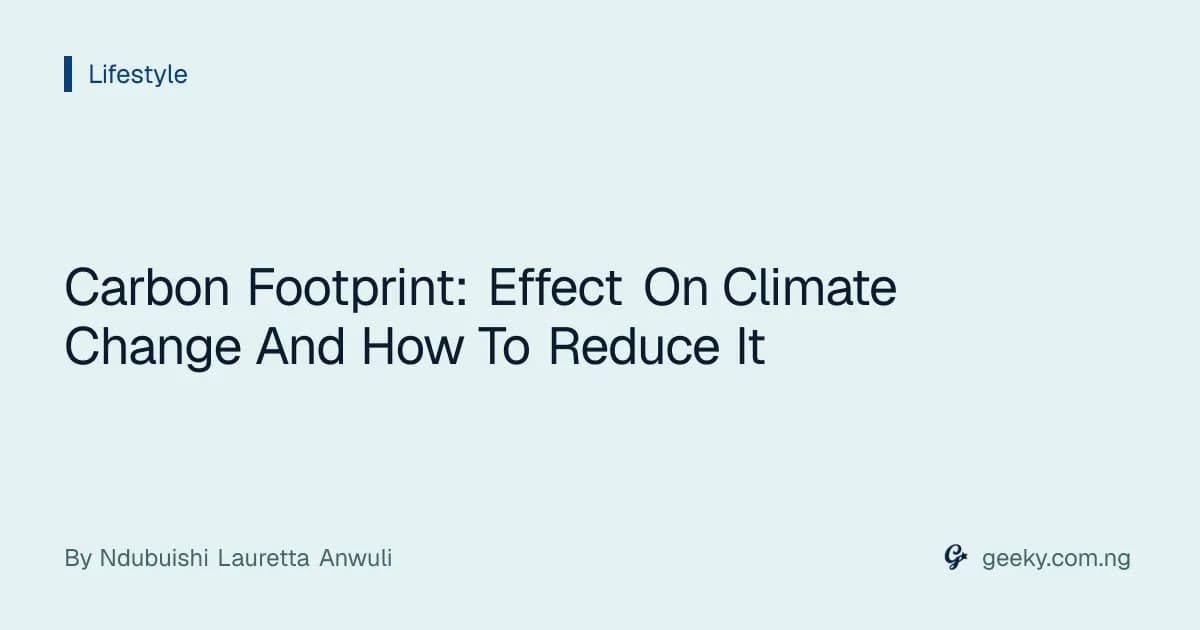 Carbon Footprint: Effect On Climate Change And How To Reduce It
