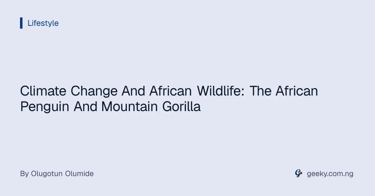 Climate Change And African Wildlife: The African Penguin And Mountain Gorilla