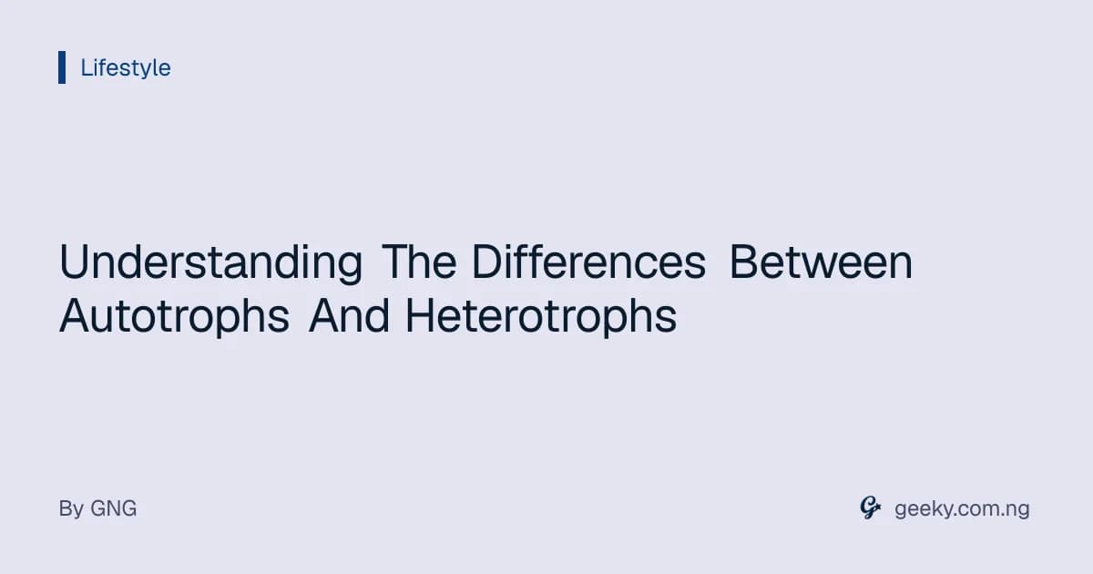 Understanding The Differences Between Autotrophs And Heterotrophs