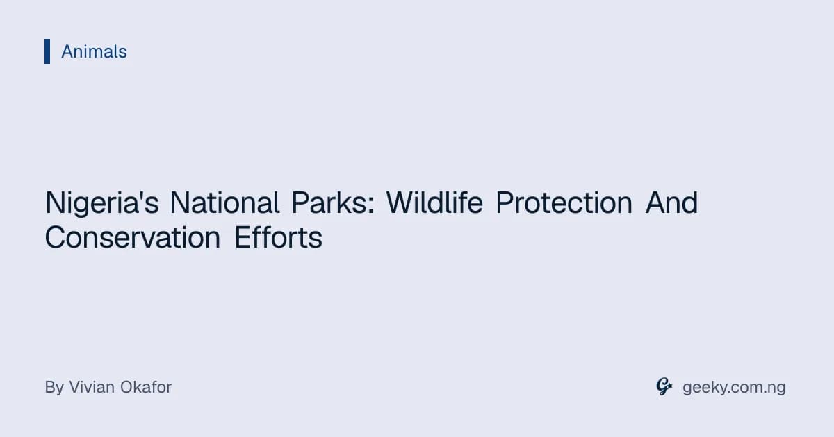 Nigeria's National Parks: Wildlife Protection And Conservation Efforts