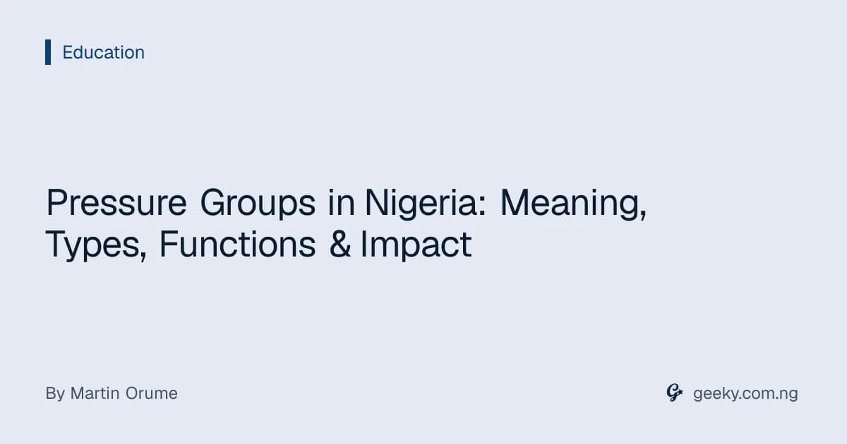 Pressure Groups in Nigeria: Meaning, Types, Functions & Impact