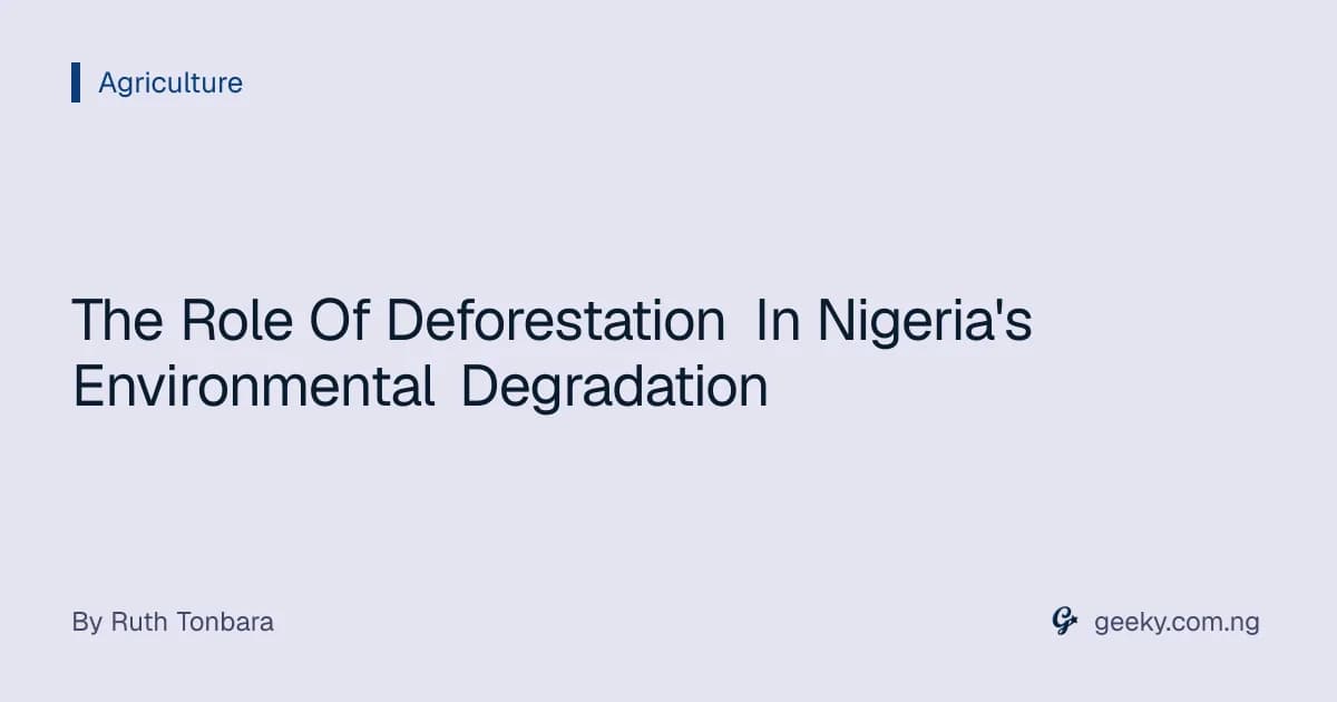 The Role Of Deforestation In Nigeria's Environmental Degradation
