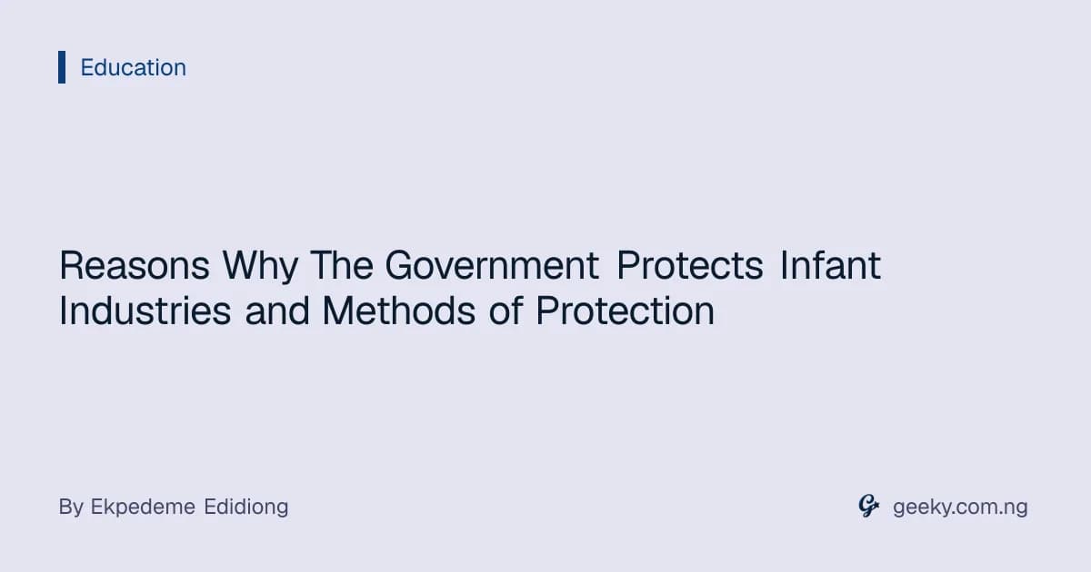 Reasons Why The Government Protects Infant Industries and Methods of Protection
