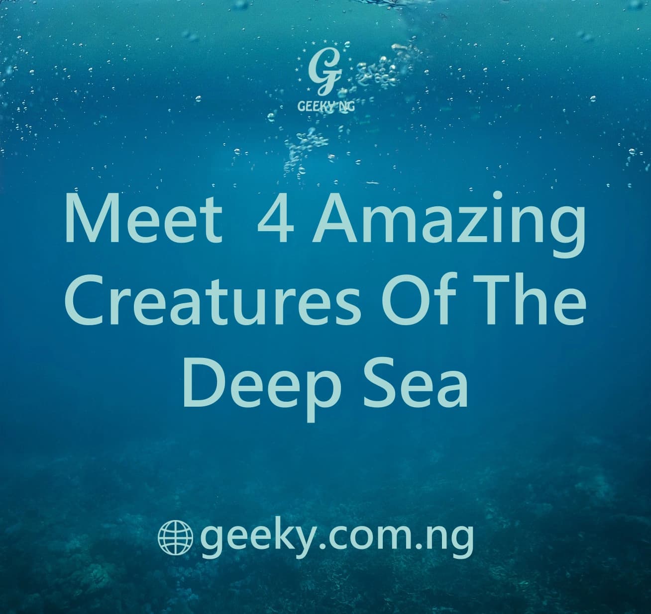 Meet 4 Amazing Creatures Of The Deep Sea
