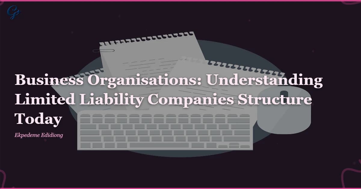 Business Organisations: Understanding Limited Liability Companies Structure Today
