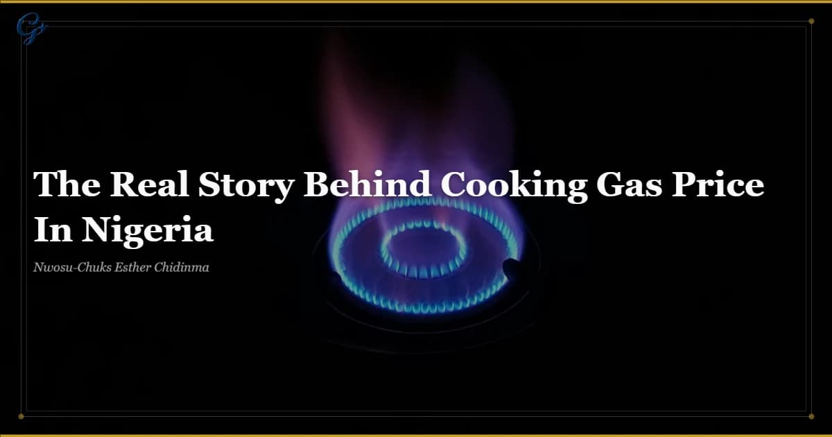 The Real Story Behind Cooking Gas Price In Nigeria