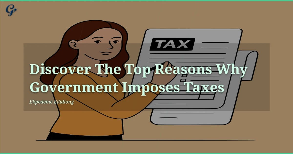 Discover The Top Reasons Why Government Imposes Taxes