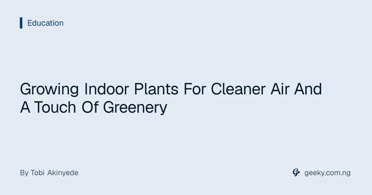 Growing Indoor Plants For Cleaner Air And A Touch Of Greenery