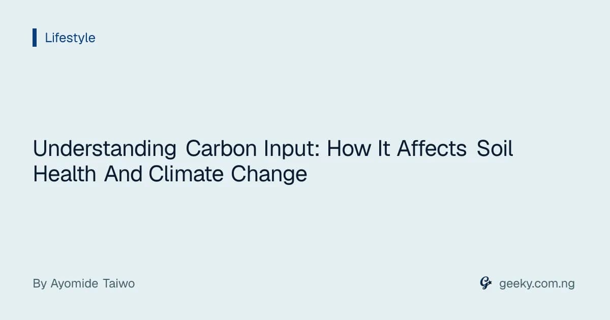 Understanding Carbon Input: How It Affects Soil Health And Climate Change
