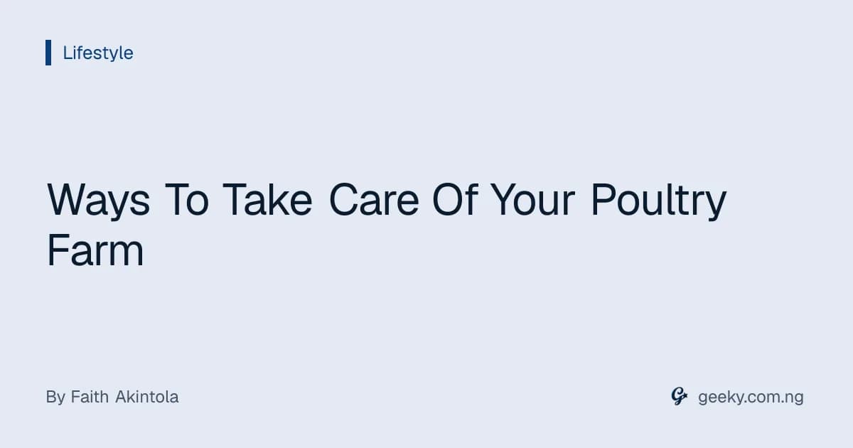 Ways To Take Care Of Your Poultry Farm