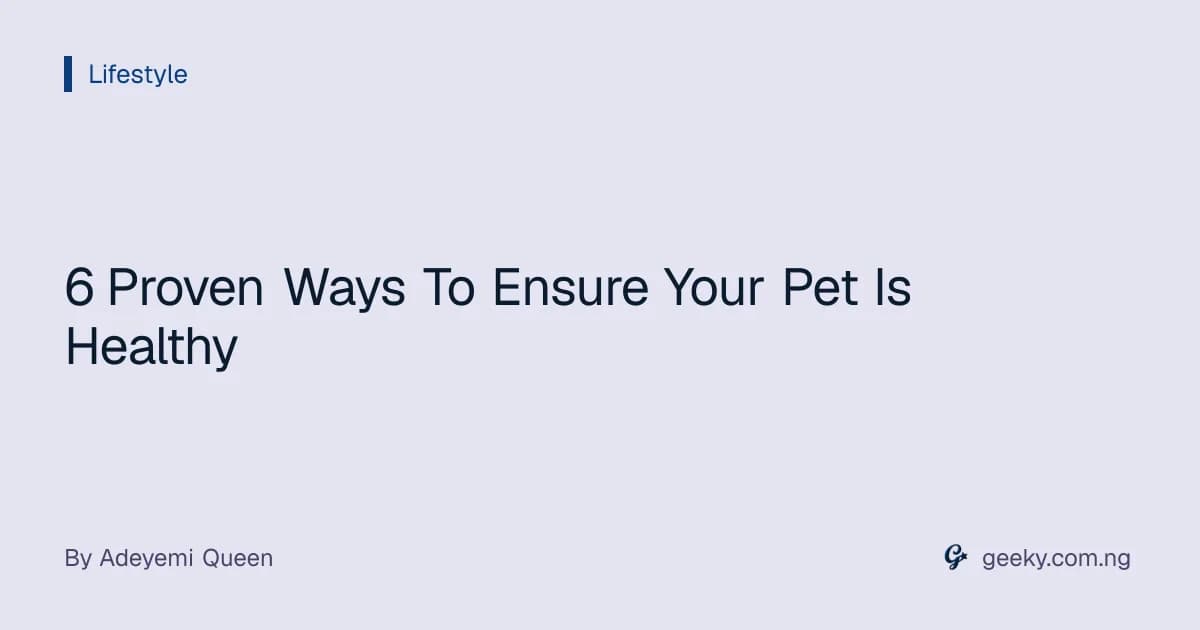 6 Proven Ways To Ensure Your Pet Is Healthy