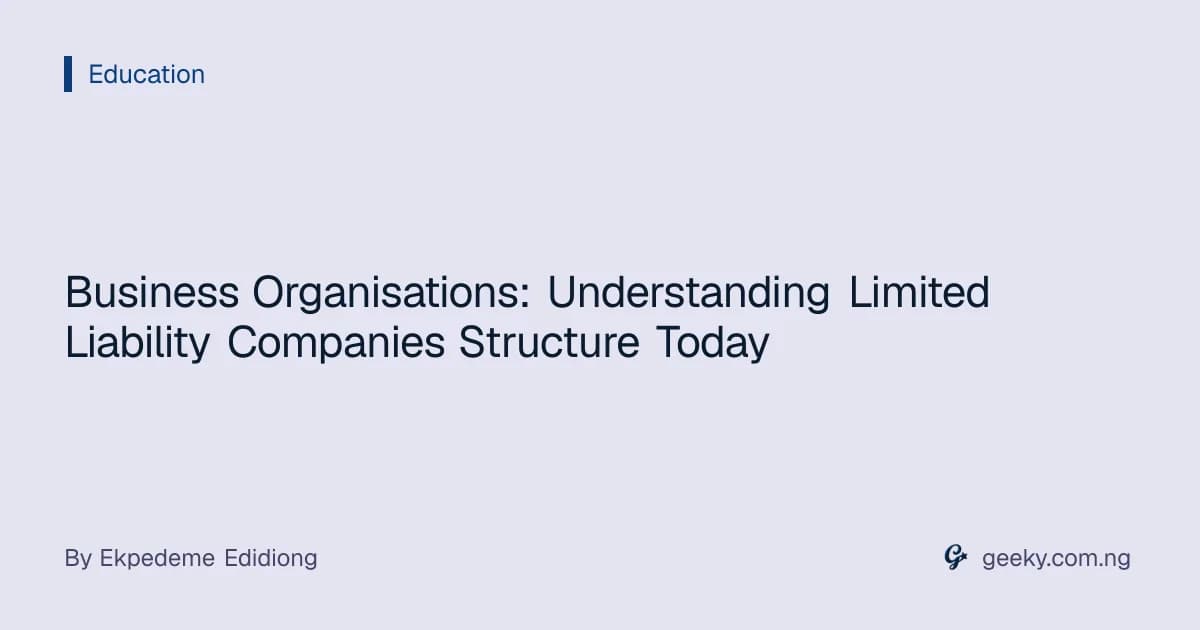Business Organisations: Understanding Limited Liability Companies Structure Today