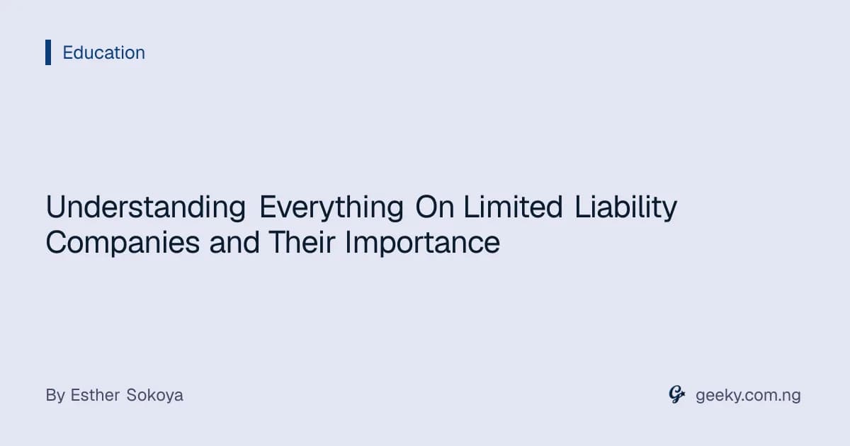Understanding Everything On Limited Liability Companies and Their Importance