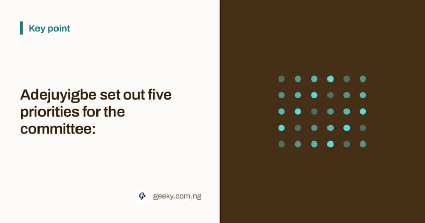 Key point: Adejuyigbe set out five priorities for the committee: