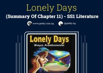 Lonely Days (Summary Of Chapter 11)