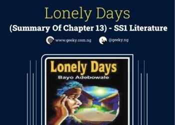 Lonely Days (Summary Of Chapter 13)