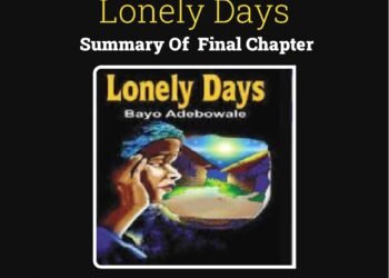 Lonely Days (Summary Of Final Chapter)