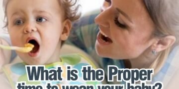 When Is The Proper Time To Wean Your Baby?