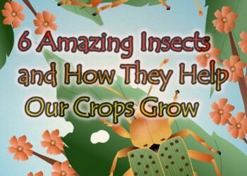 Children's Special: 6 Amazing Insects And How They Help Our Crops Grow